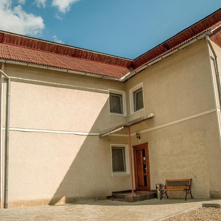Pensiunea Selena Vişeu de Sus Buitenkant foto