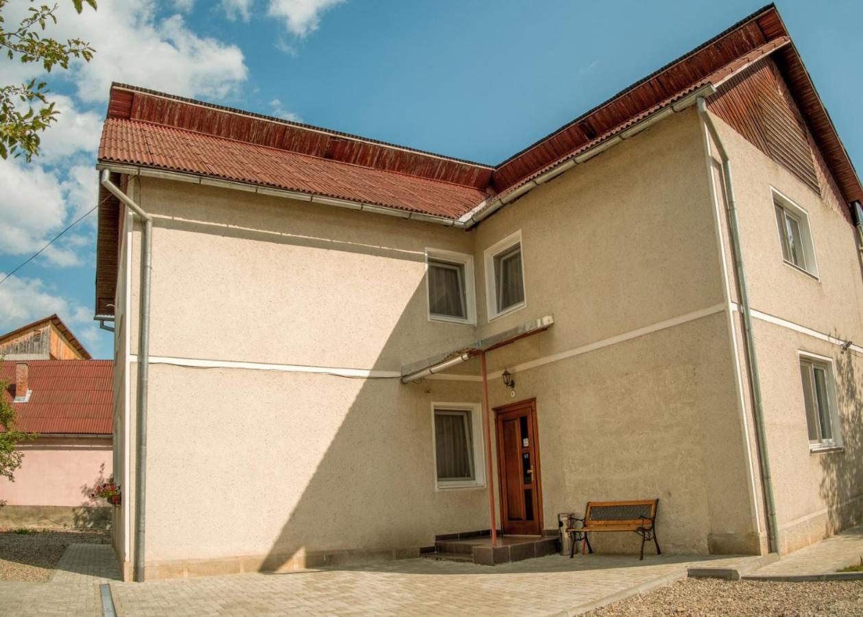 Pensiunea Selena Vişeu de Sus Buitenkant foto