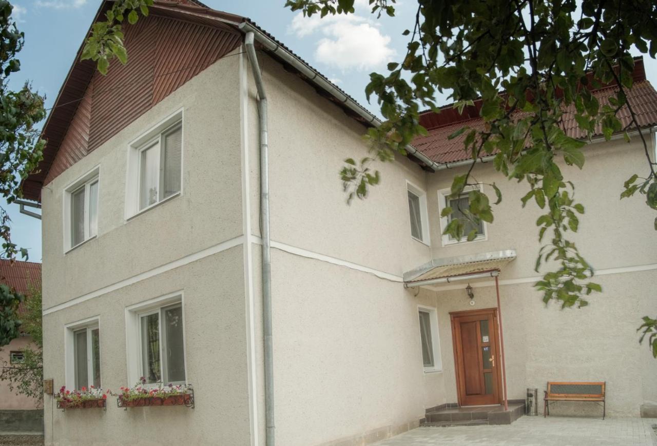 Pensiunea Selena Vişeu de Sus Buitenkant foto