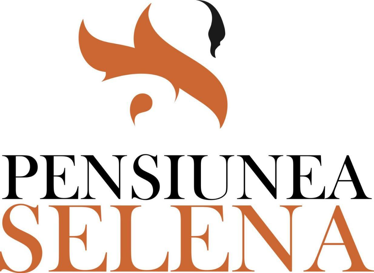 Pensiunea Selena Vişeu de Sus Buitenkant foto