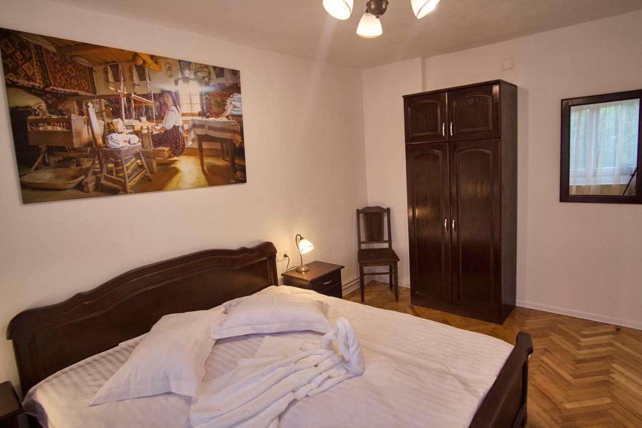 Pensiunea Selena Vişeu de Sus Buitenkant foto