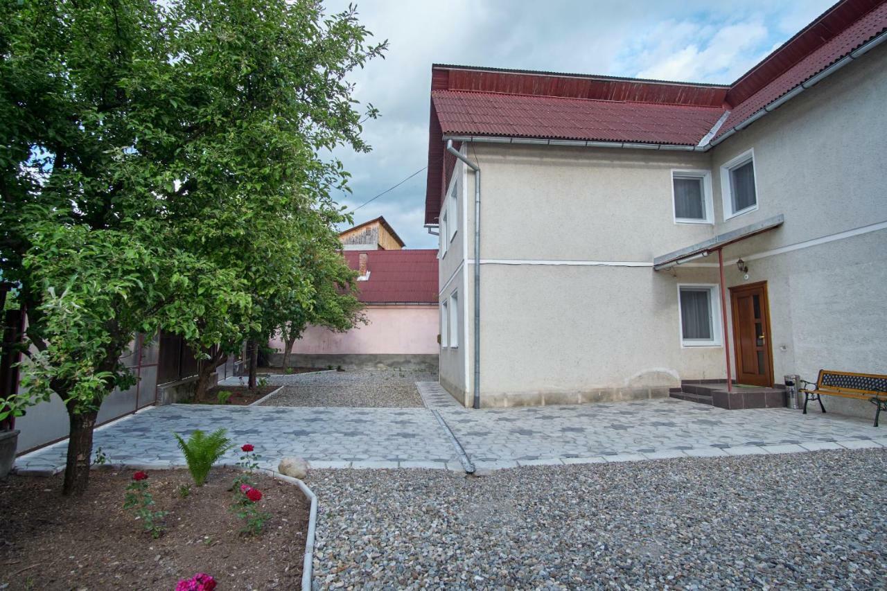 Pensiunea Selena Vişeu de Sus Buitenkant foto