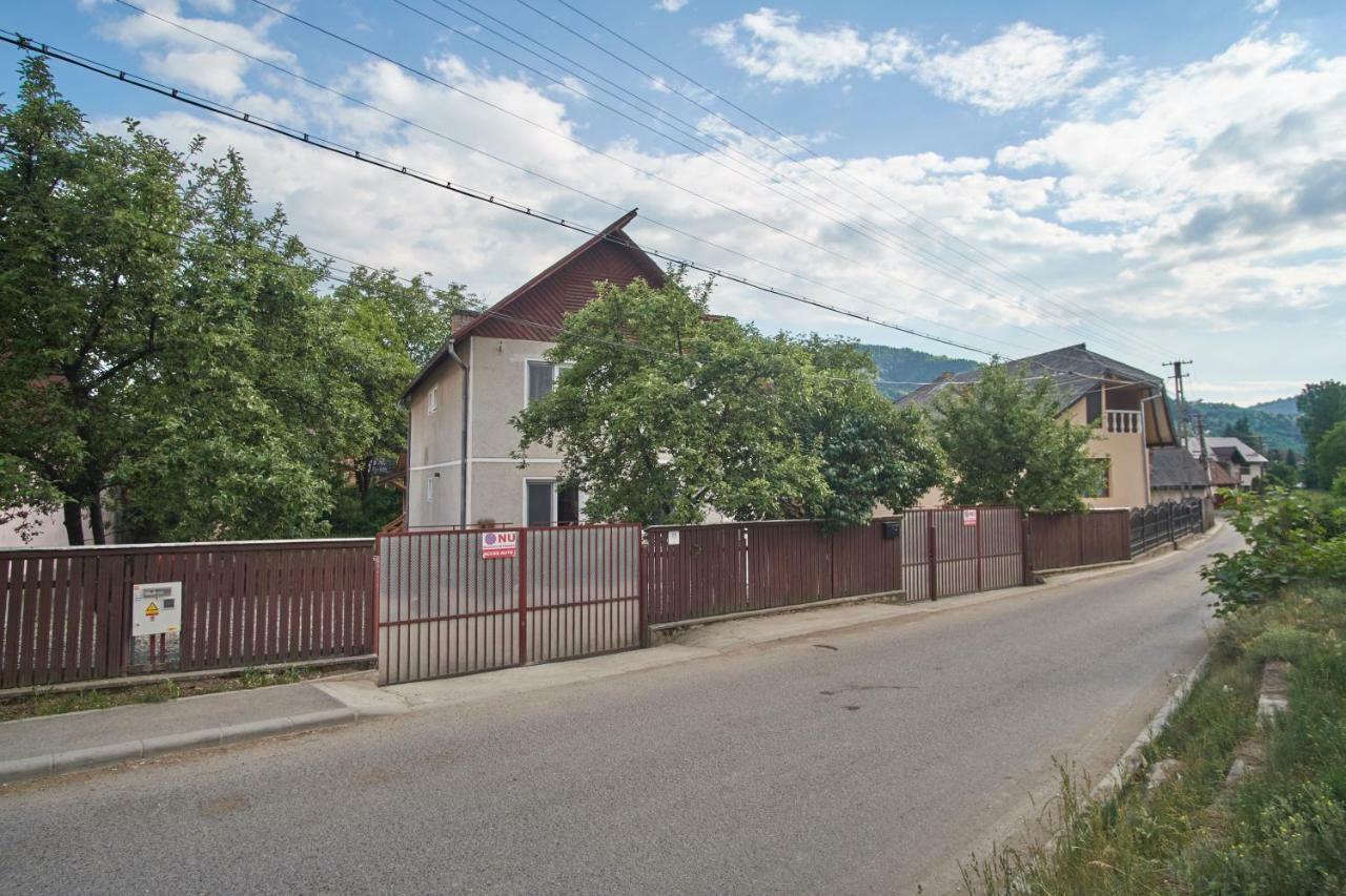 Pensiunea Selena Vişeu de Sus Buitenkant foto